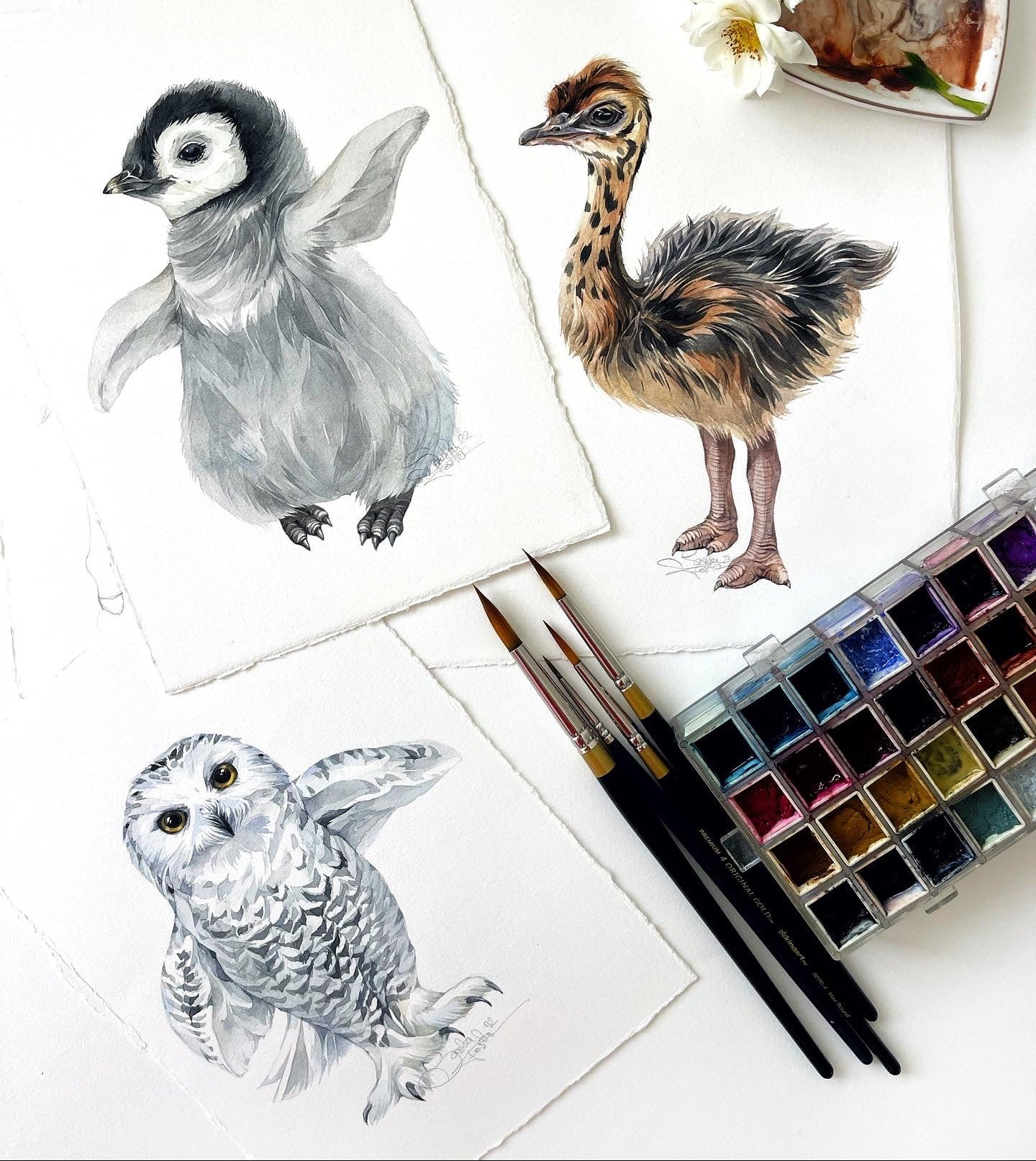 Baby Snowy Owl. Original watercolor painting.