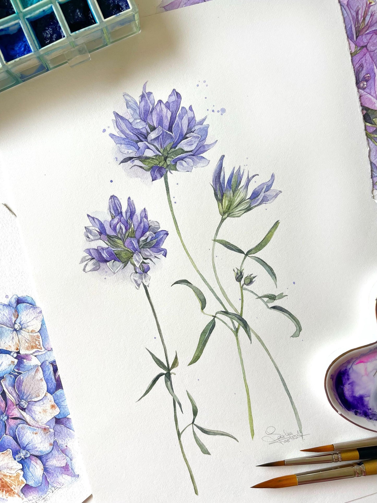 Blue Wildflowers. Original watercolor painting.