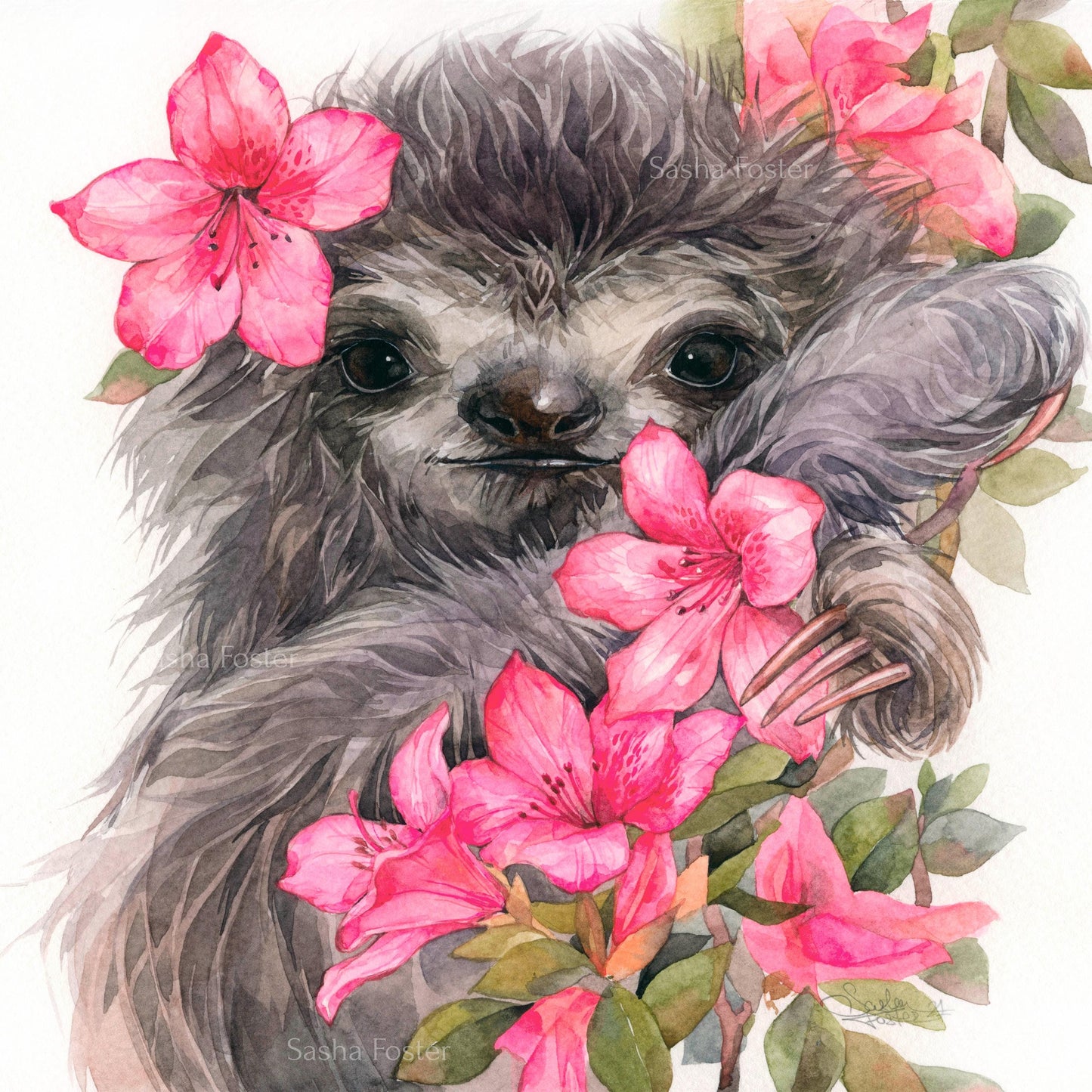Lily the Sloth. Original watercolor painting.