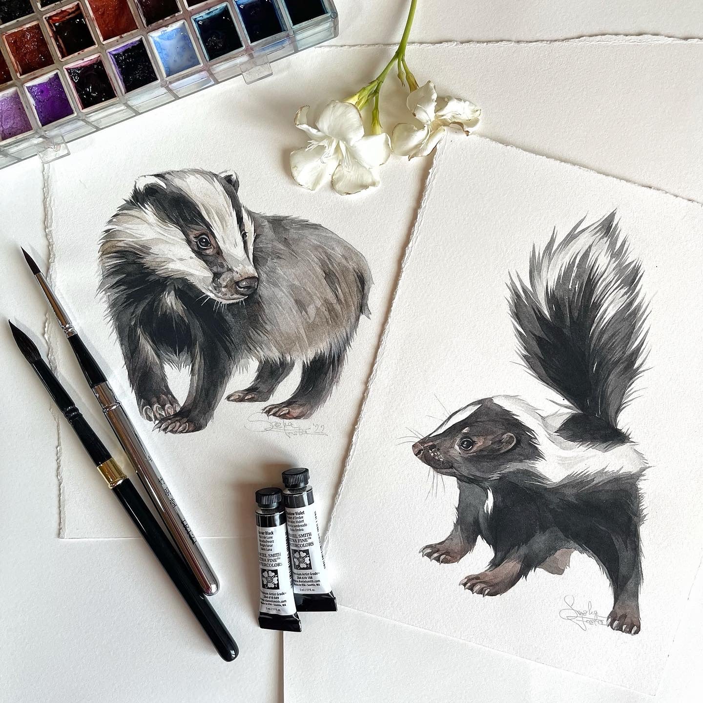 Baby Badger. Original watercolor painting.