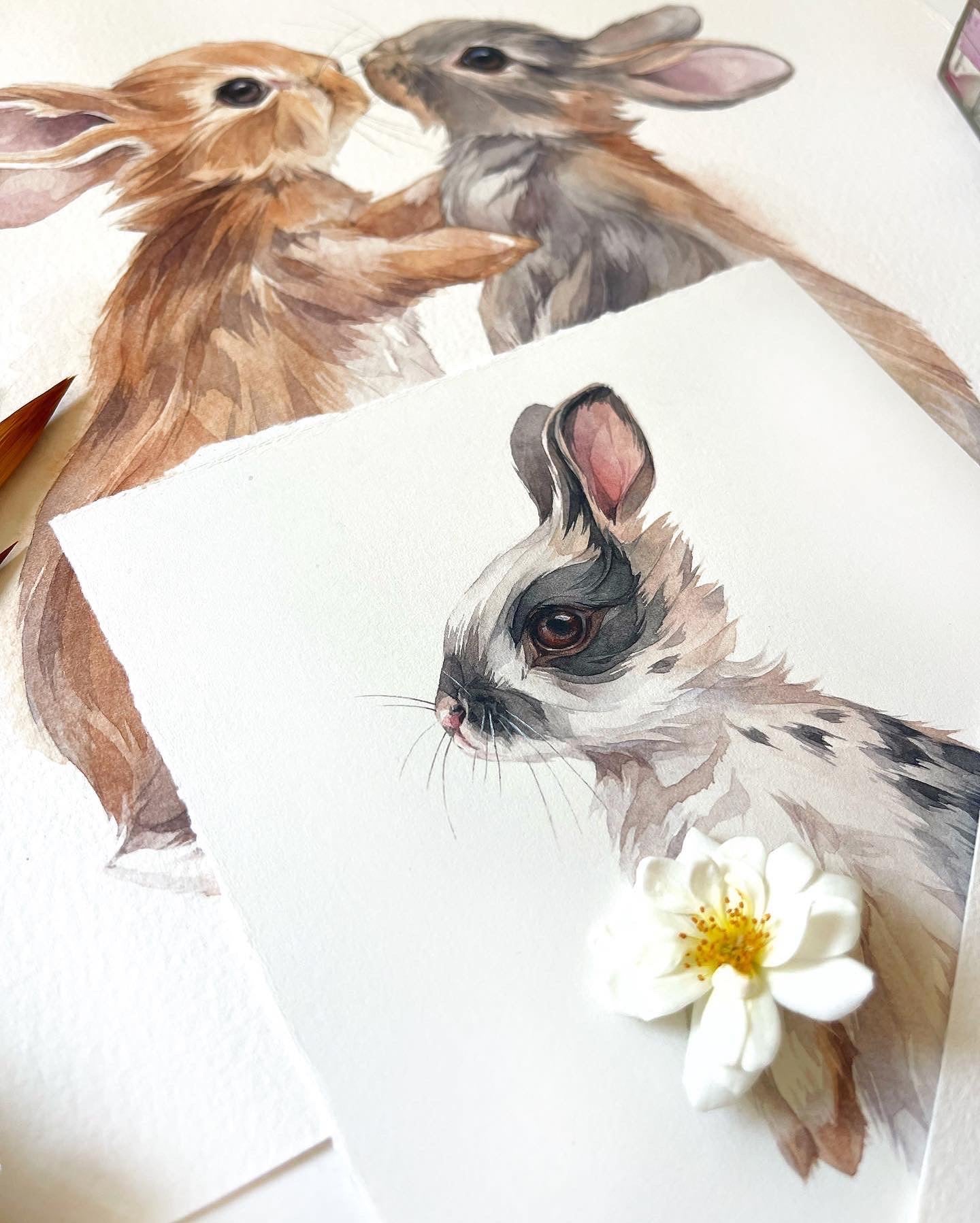 Baby Rabbit. Original watercolor painting.