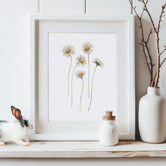 Gentle Daisies. Fine Art Print.