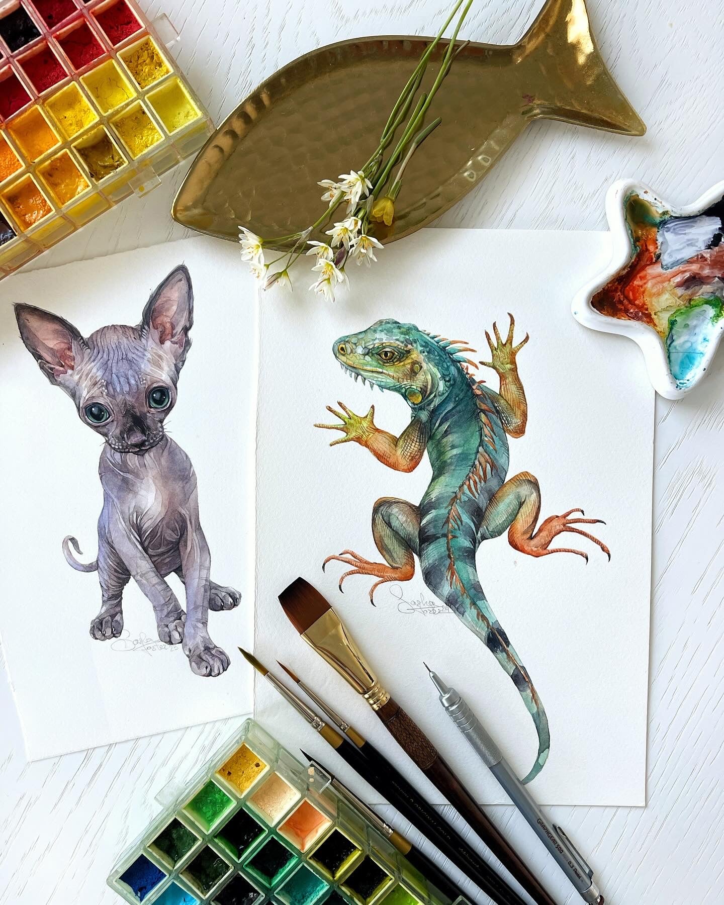 Sphynx Kitten. Original watercolor painting.