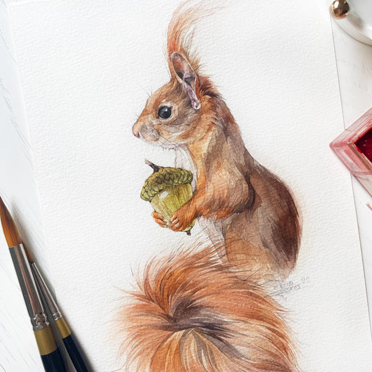 Harald the Squarell. Original watercolor painting.