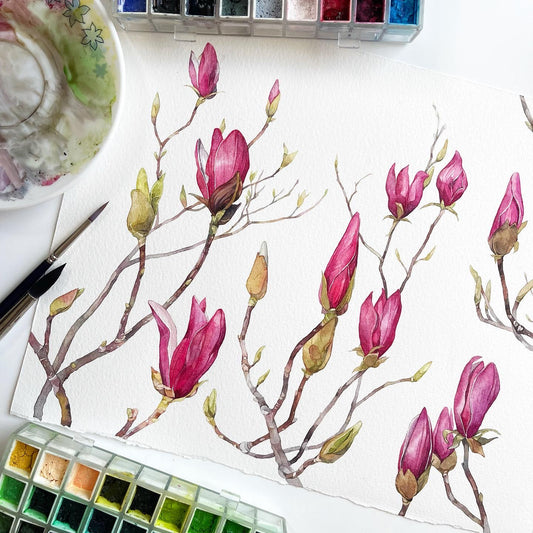 Spring Magnolia Buds. Original watercolor painting.