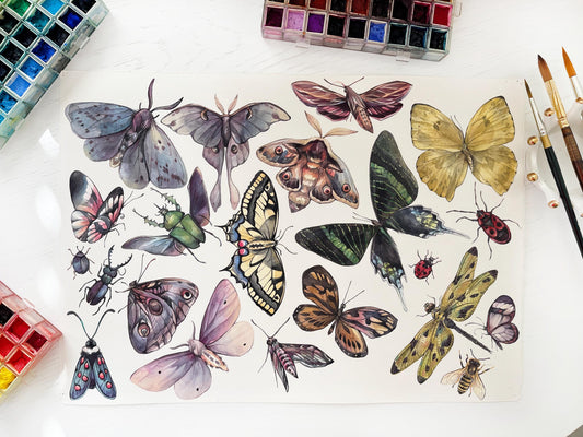 Butterfly Collection. Original watercolor painting.