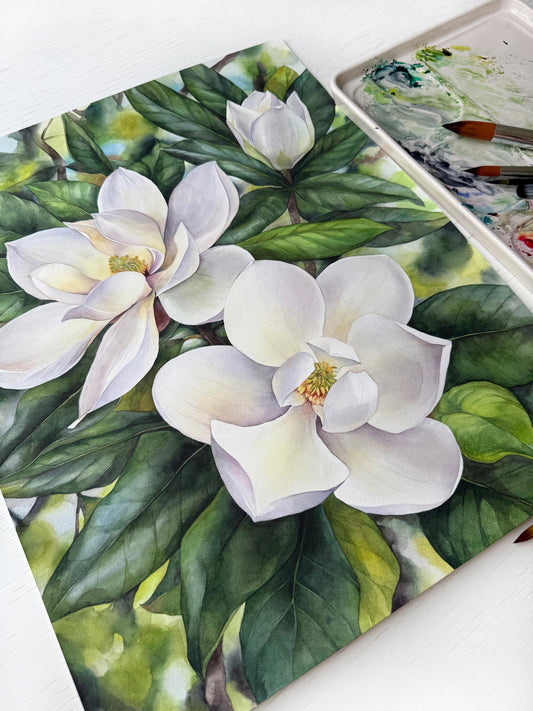 Southern Magnolias. Original watercolor painting.