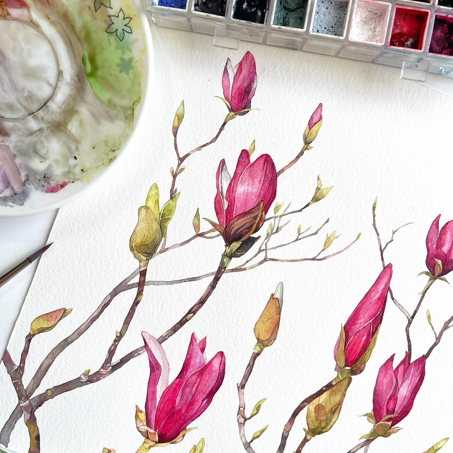 Spring Magnolia Buds. Original watercolor painting.