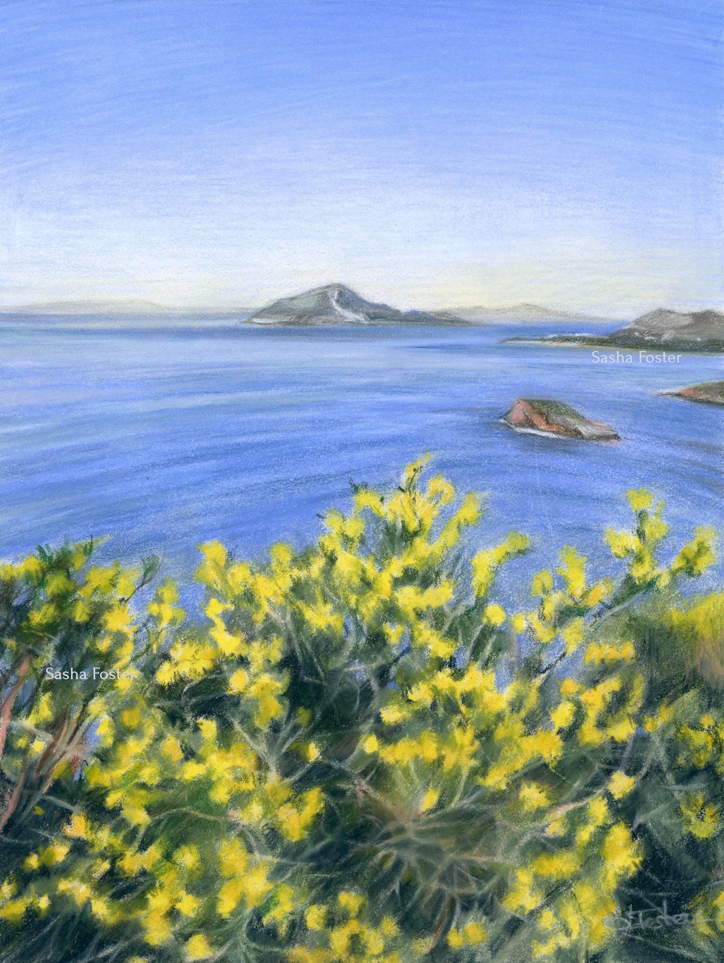 Seaside Blossoms. Original hand-painted artwork.