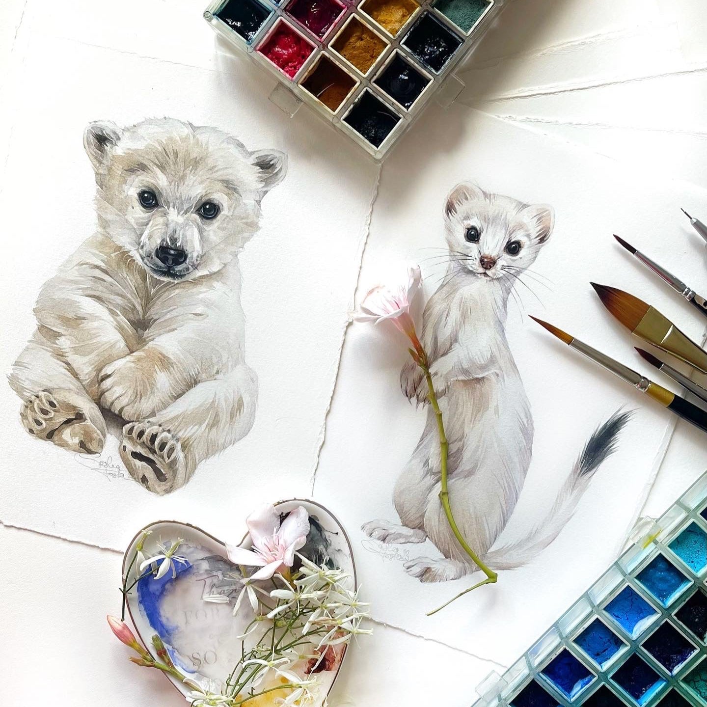 Baby Ermine. Original watercolor painting.