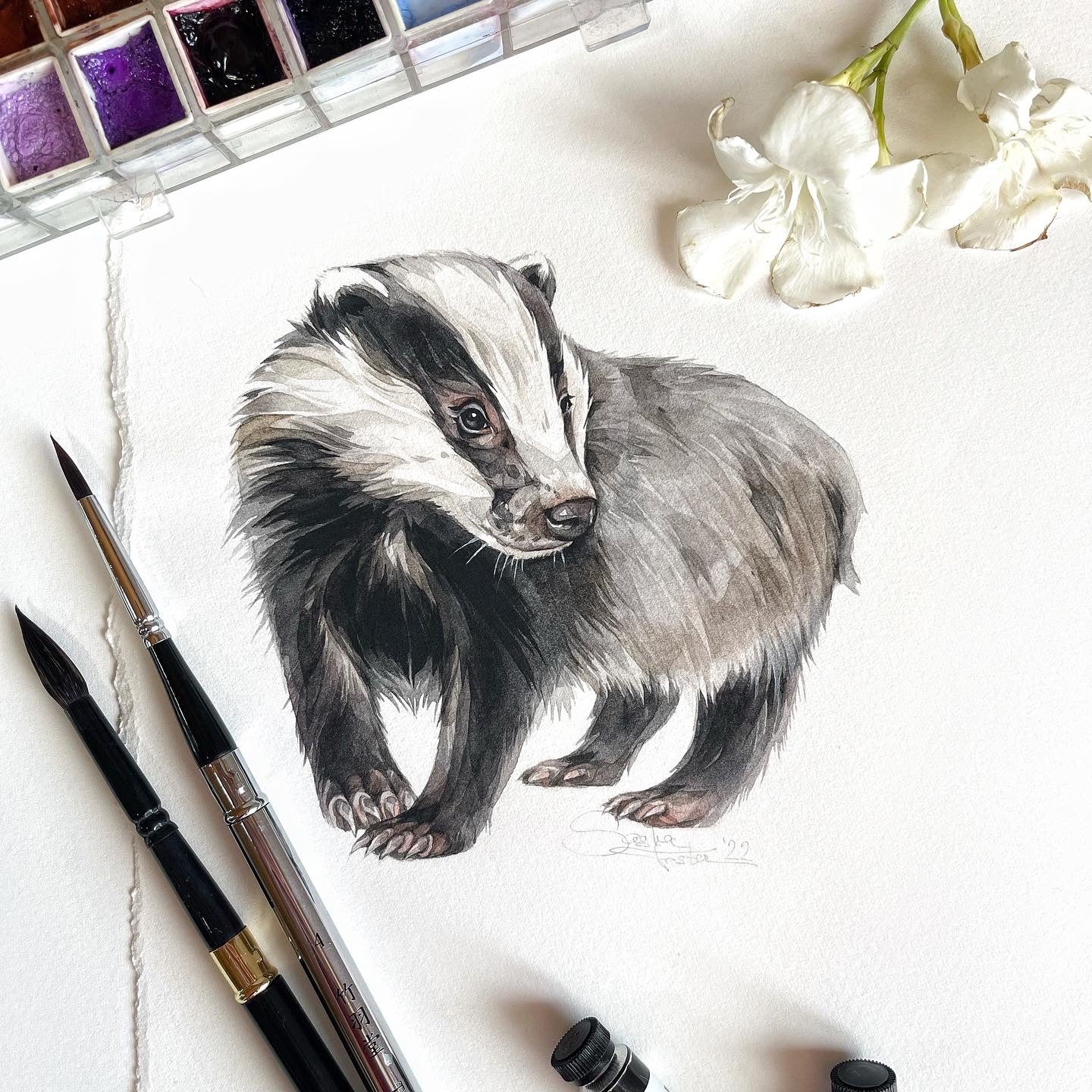 Baby Badger. Original watercolor painting.
