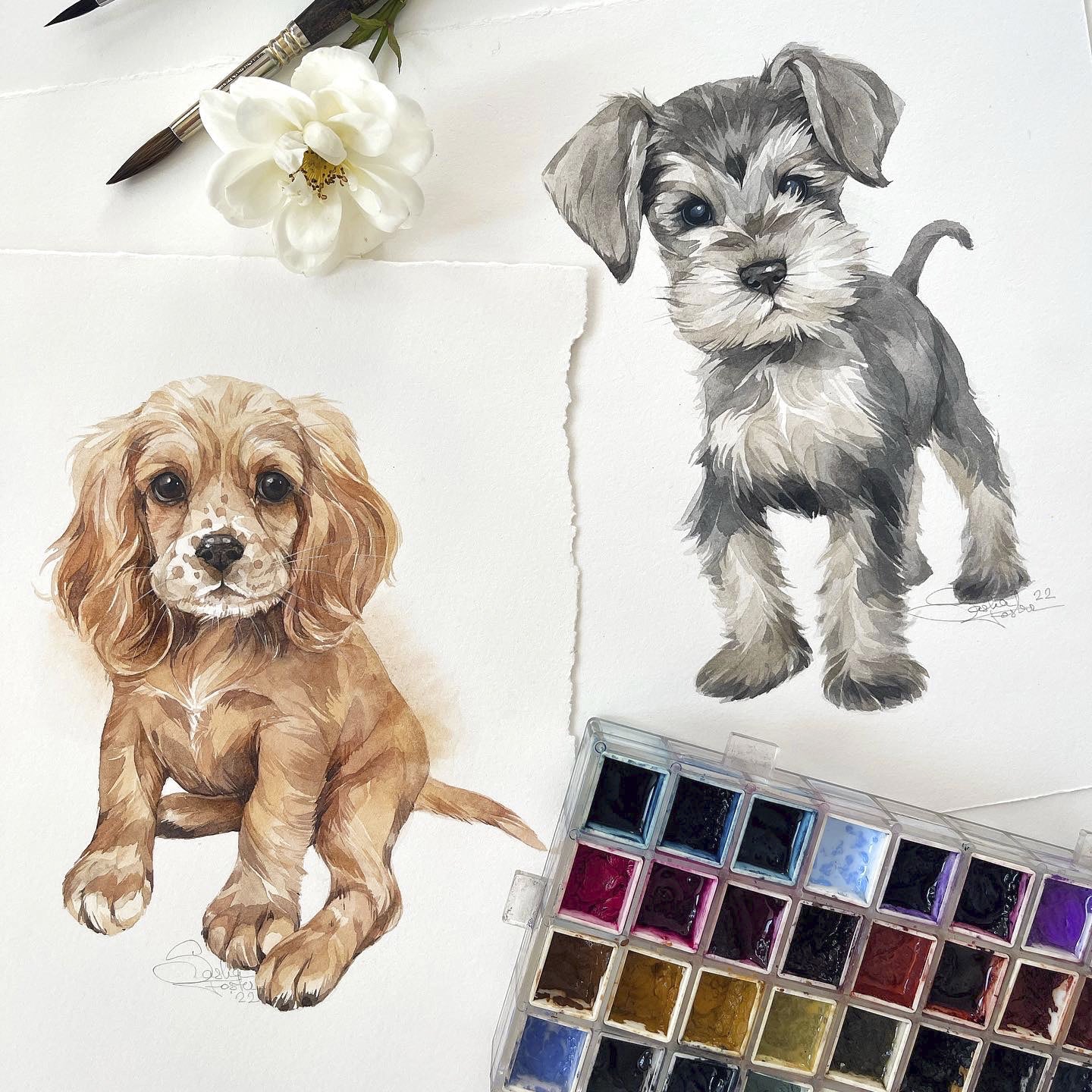 Baby Cocker Spaniel. Original watercolor painting.