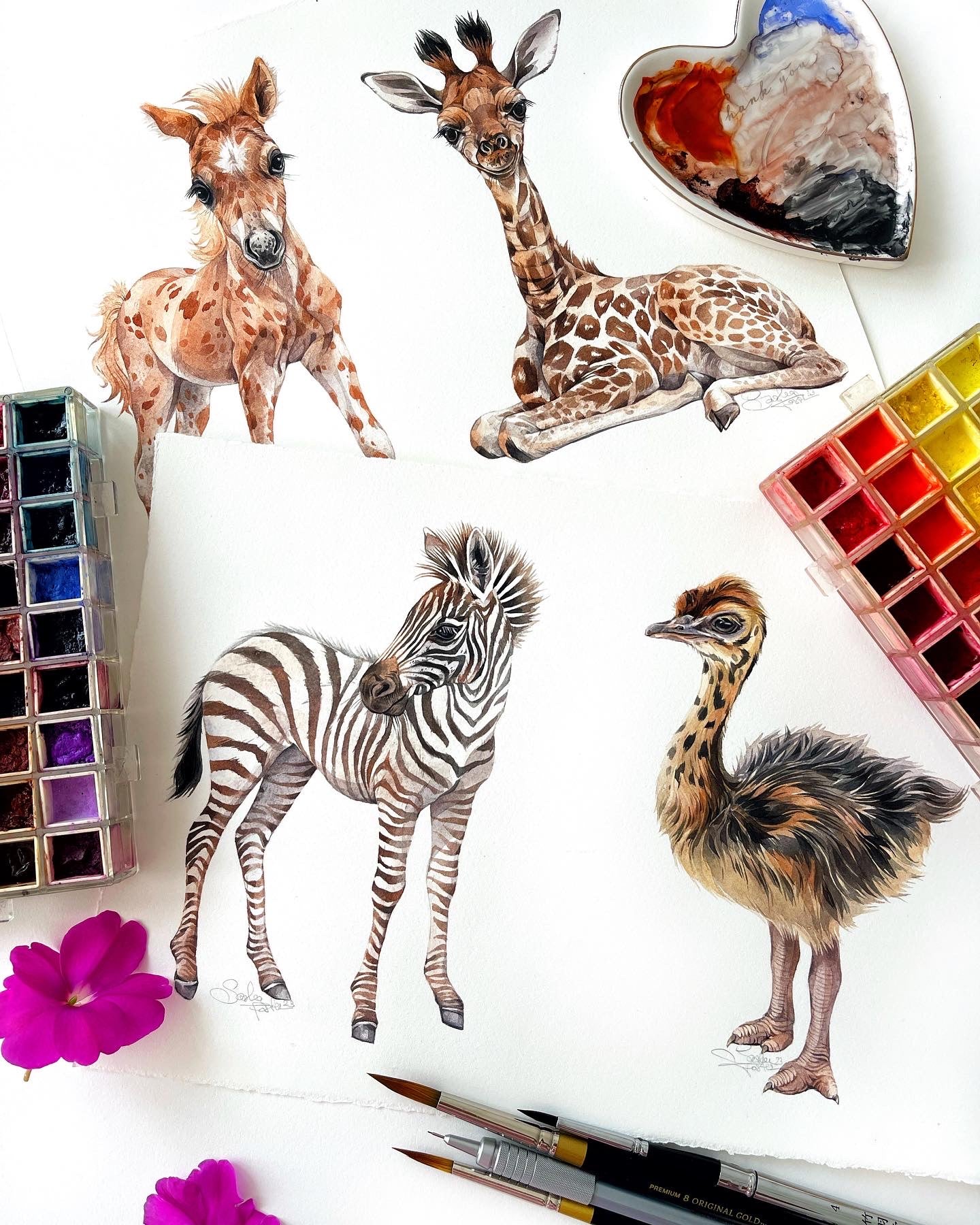 Baby Zebra. Original watercolor painting.