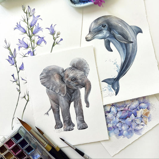 Baby Dolphin. Original watercolor painting.