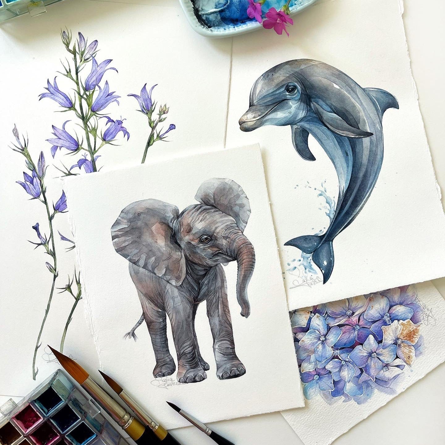 Baby Dolphin. Original watercolor painting.