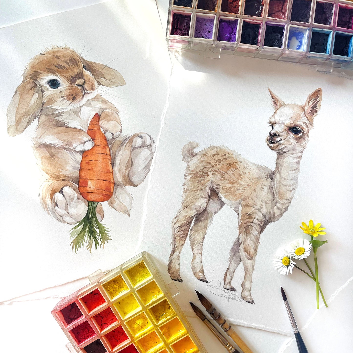 Baby Alpaca. Original watercolor painting.