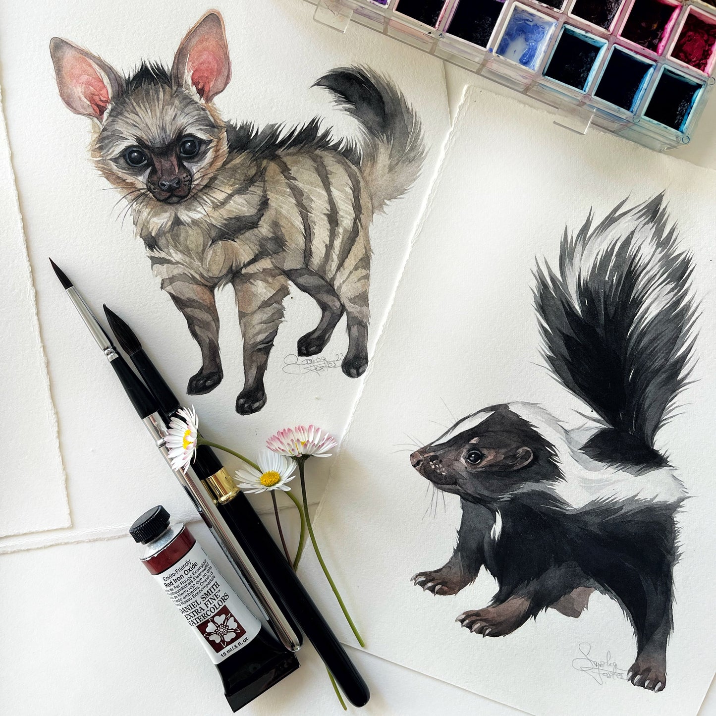 Baby Skunk. Original watercolor painting.