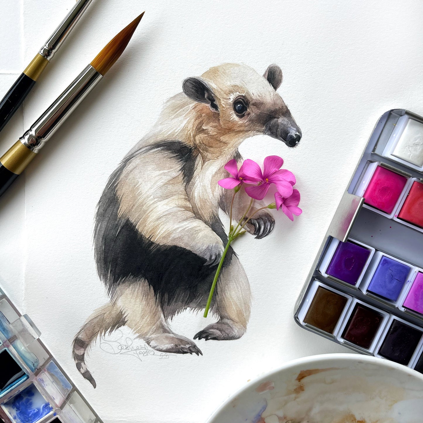 Baby Anteater. Original watercolor painting.