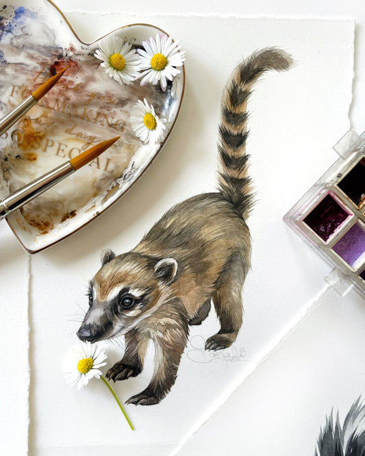 Baby Coati. Original watercolor painting.