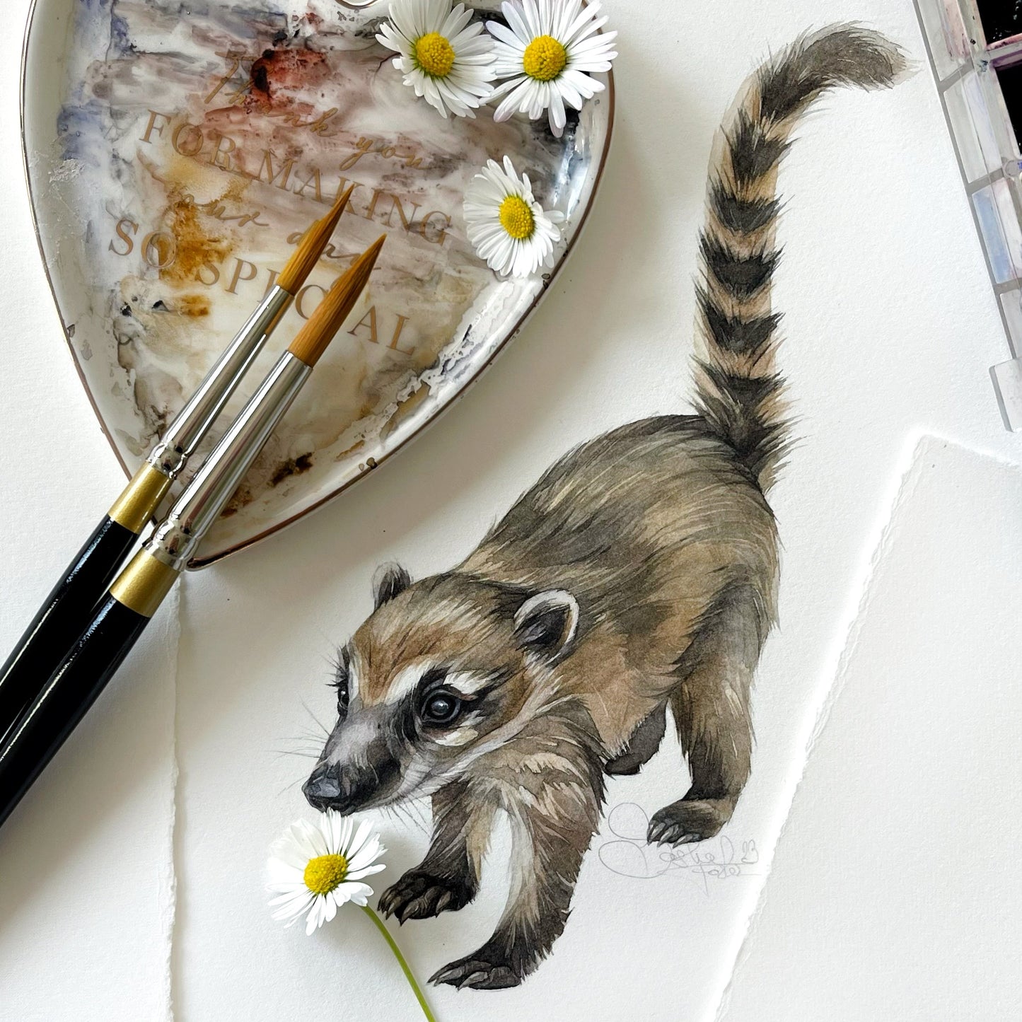 Baby Coati. Original watercolor painting.