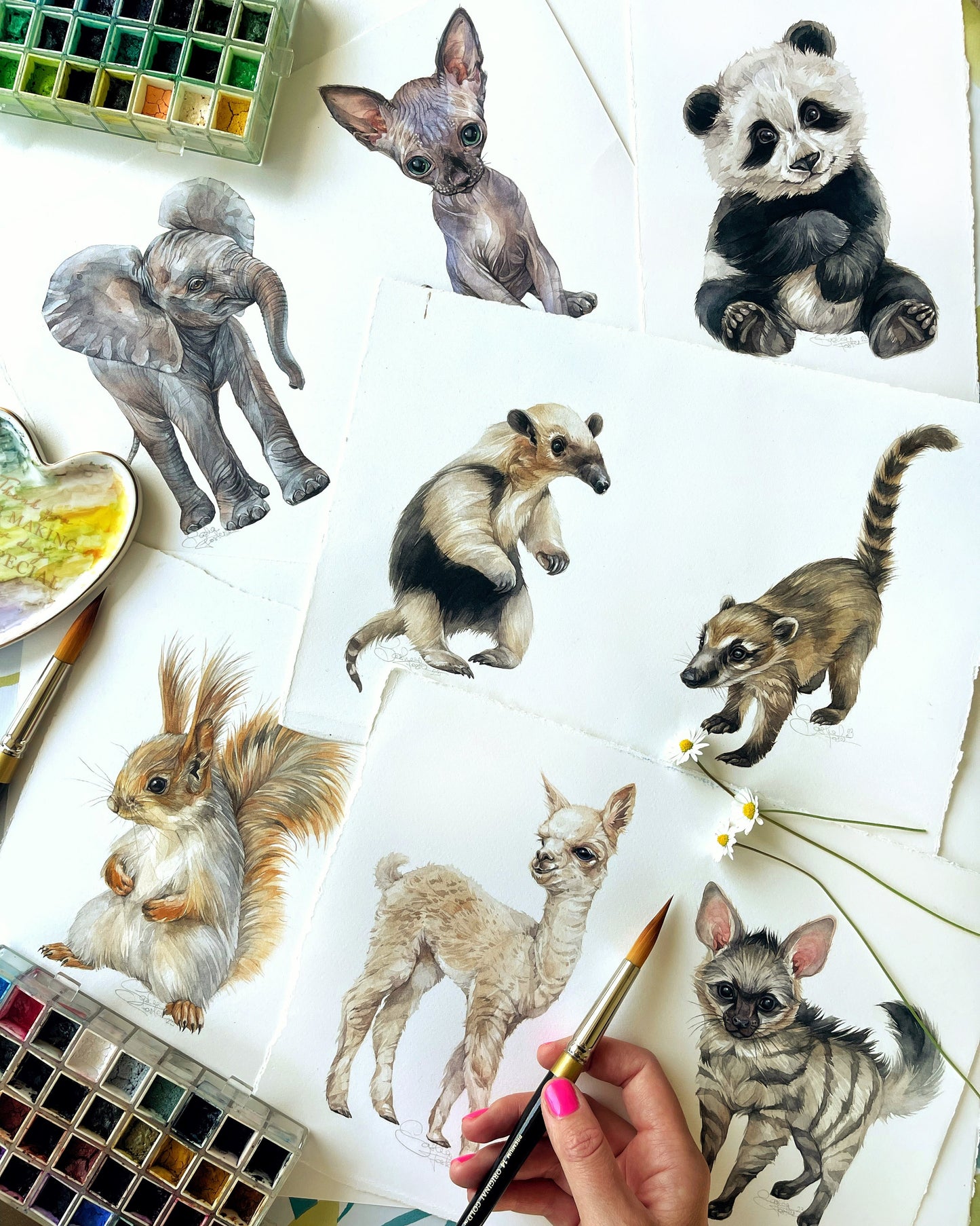 Baby Coati. Original watercolor painting.