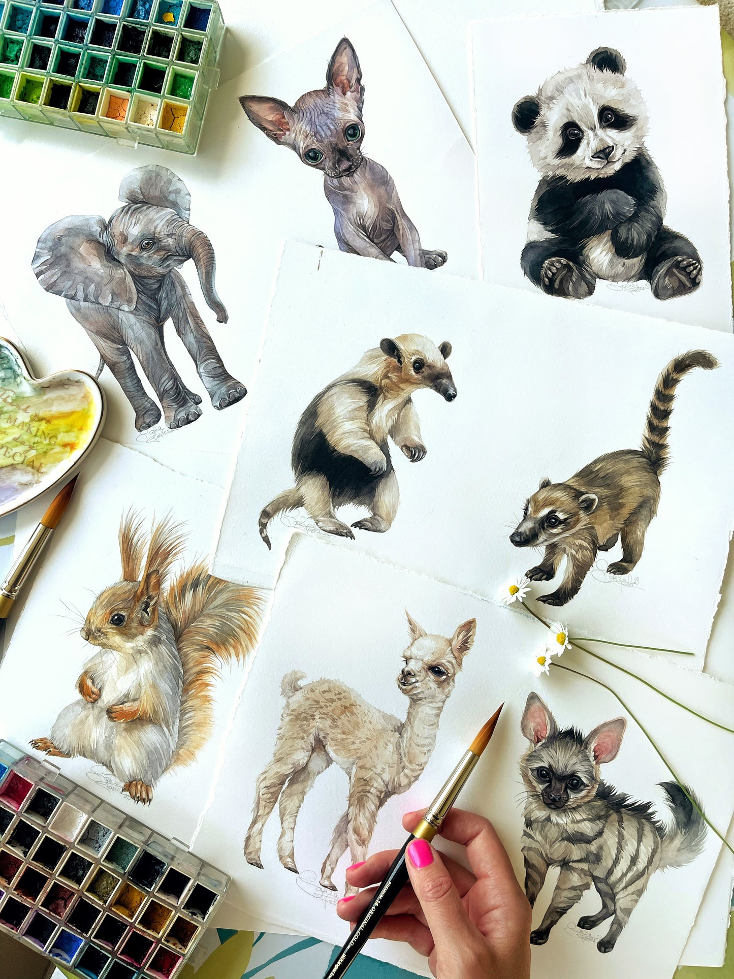 Baby Alpaca. Original watercolor painting.