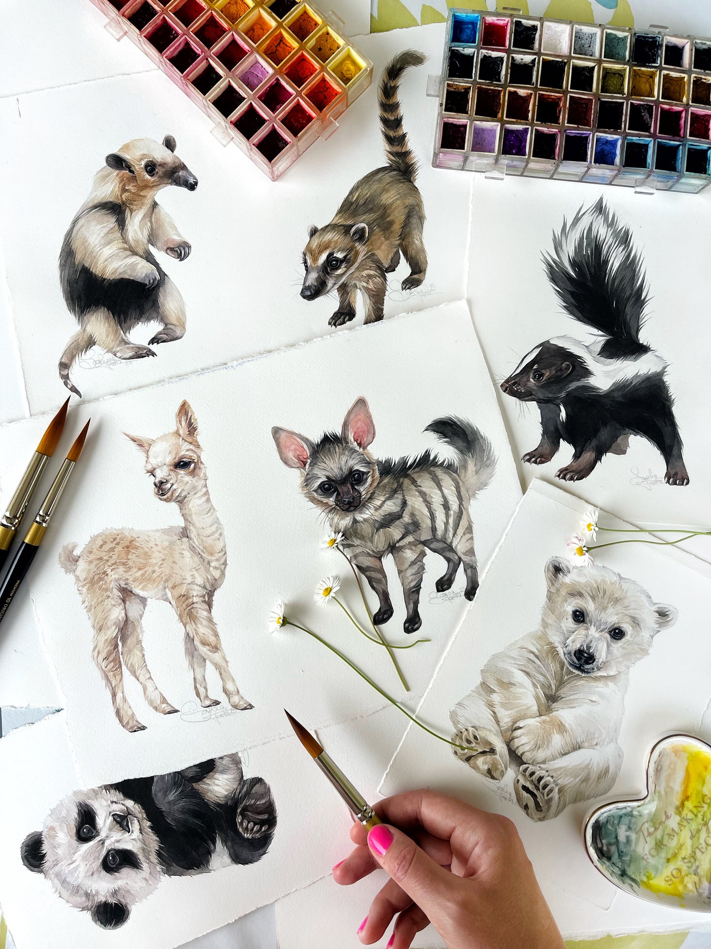 Baby Alpaca. Original watercolor painting.