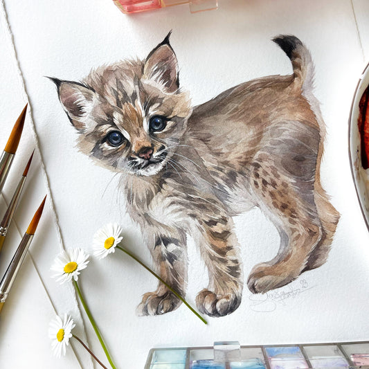Baby Bobcat. Original watercolor painting.