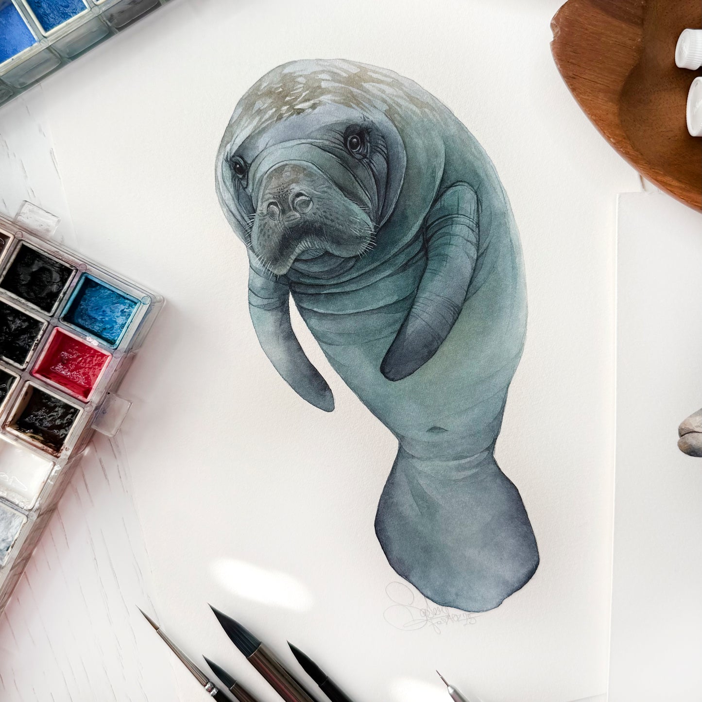 Baby Manatee. Original watercolor painting.