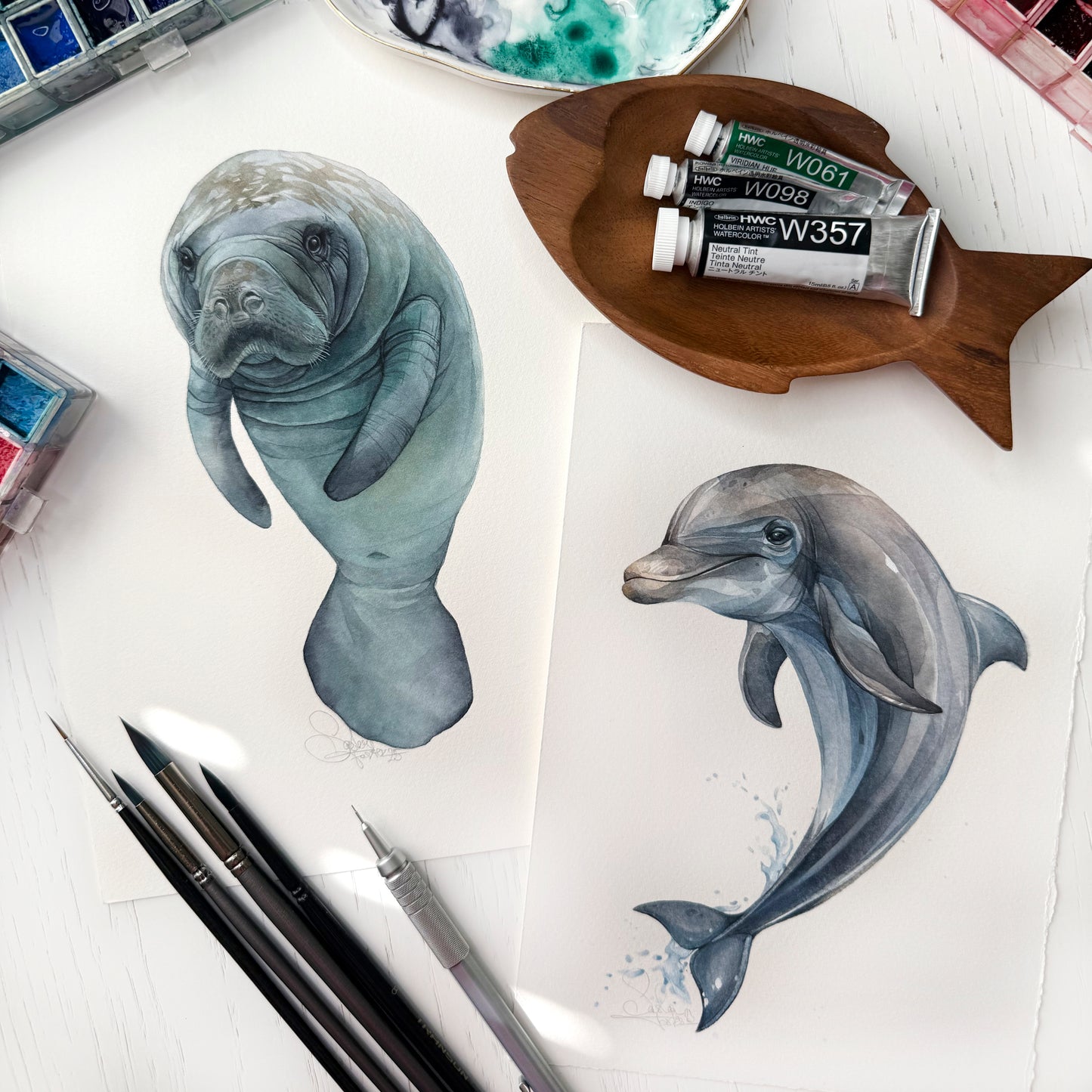 Baby Manatee. Original watercolor painting.