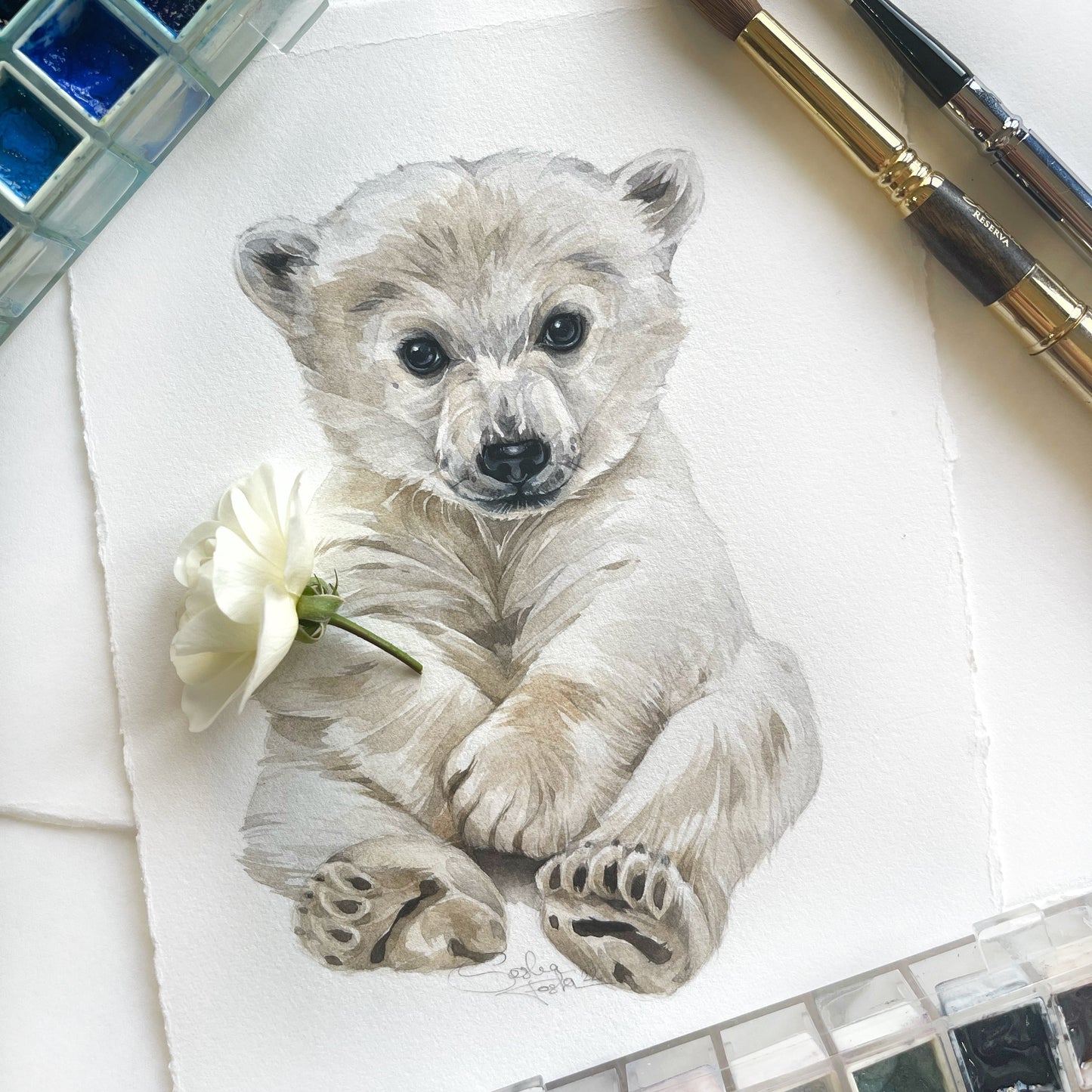 Baby Polar Bear. Original watercolor painting.