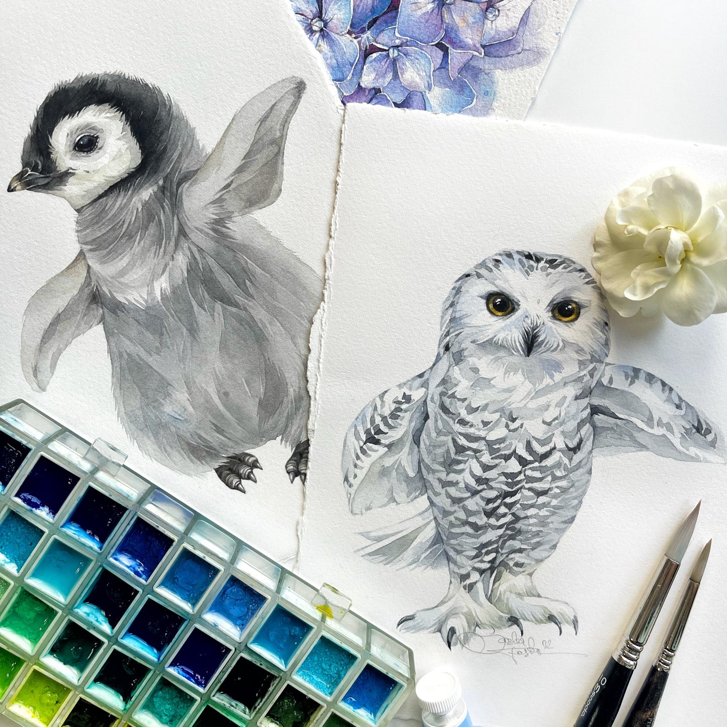 Baby Snowy Owl. Original watercolor painting.