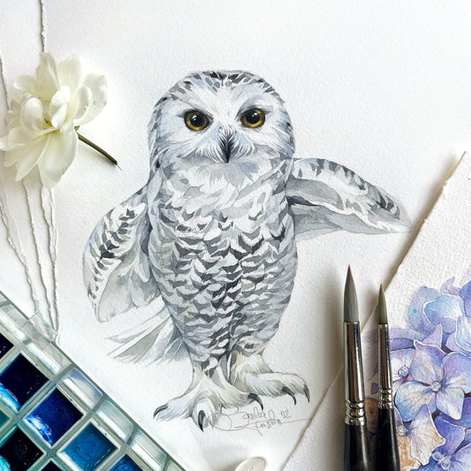 Baby Snowy Owl. Original watercolor painting.