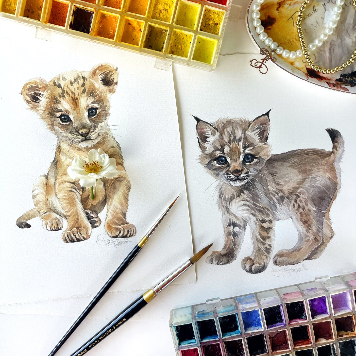Baby Bobcat. Original watercolor painting.