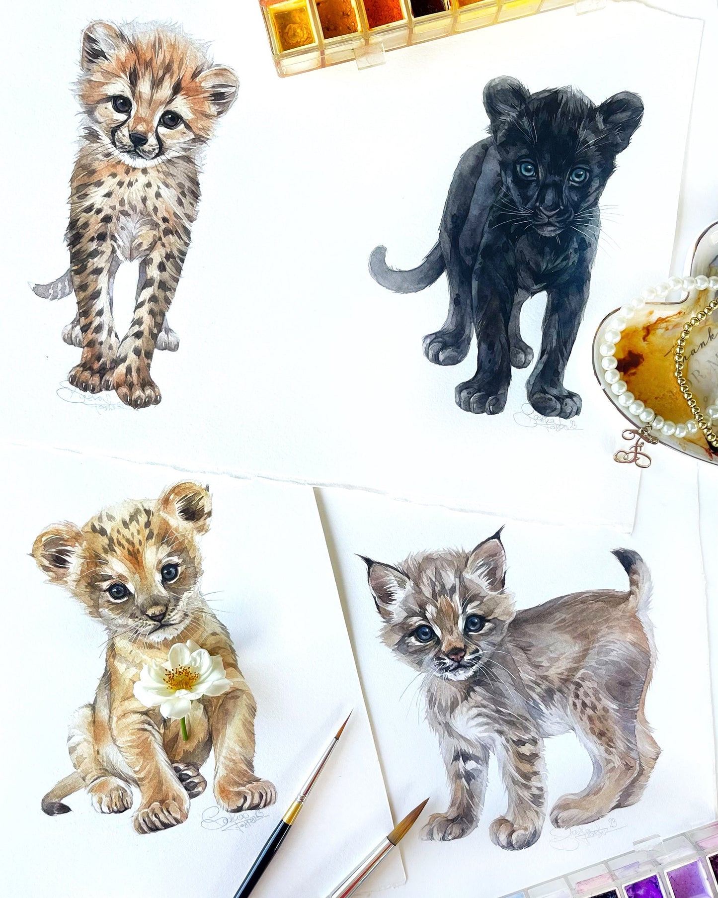 Baby Bobcat. Original watercolor painting.
