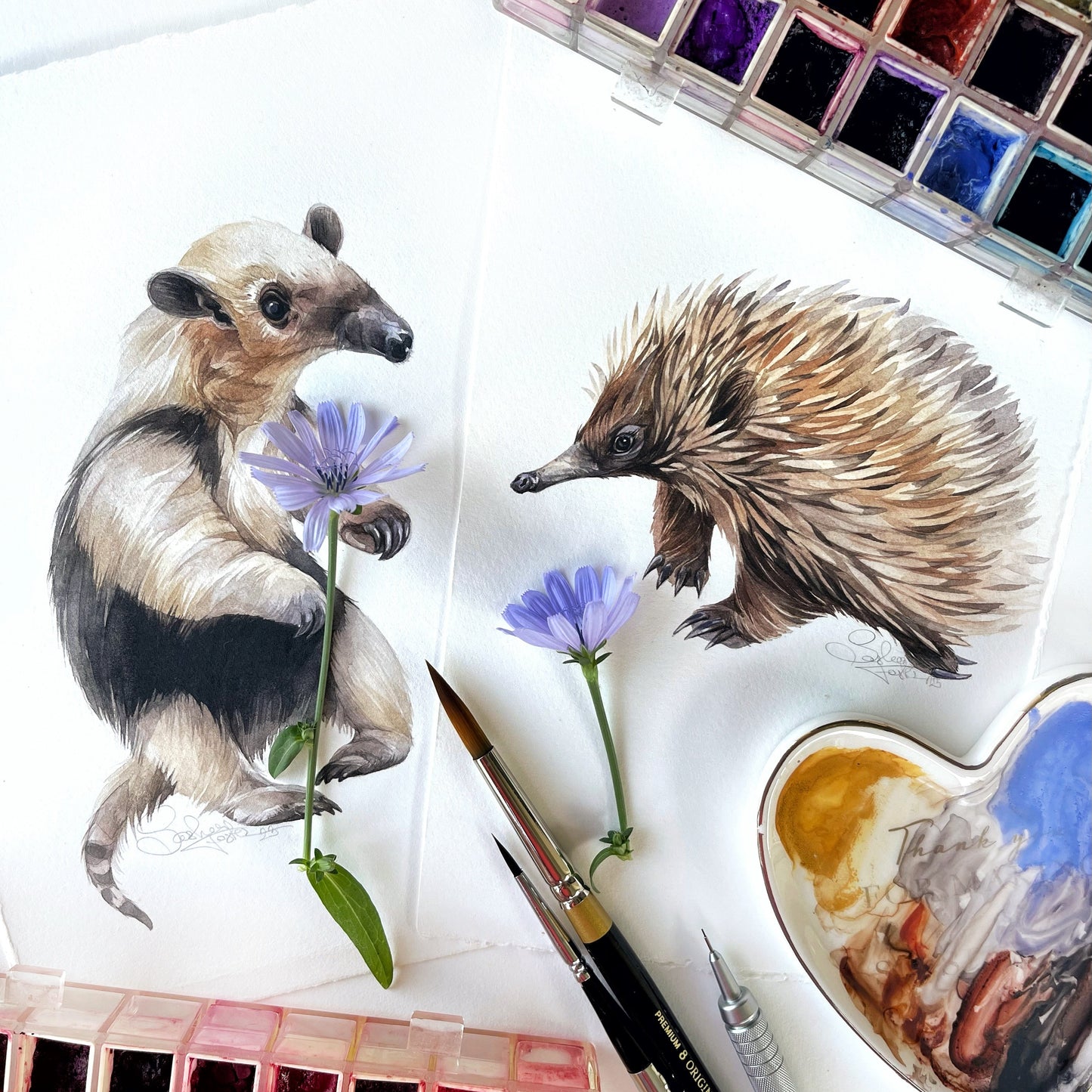 Baby Anteater. Original watercolor painting.