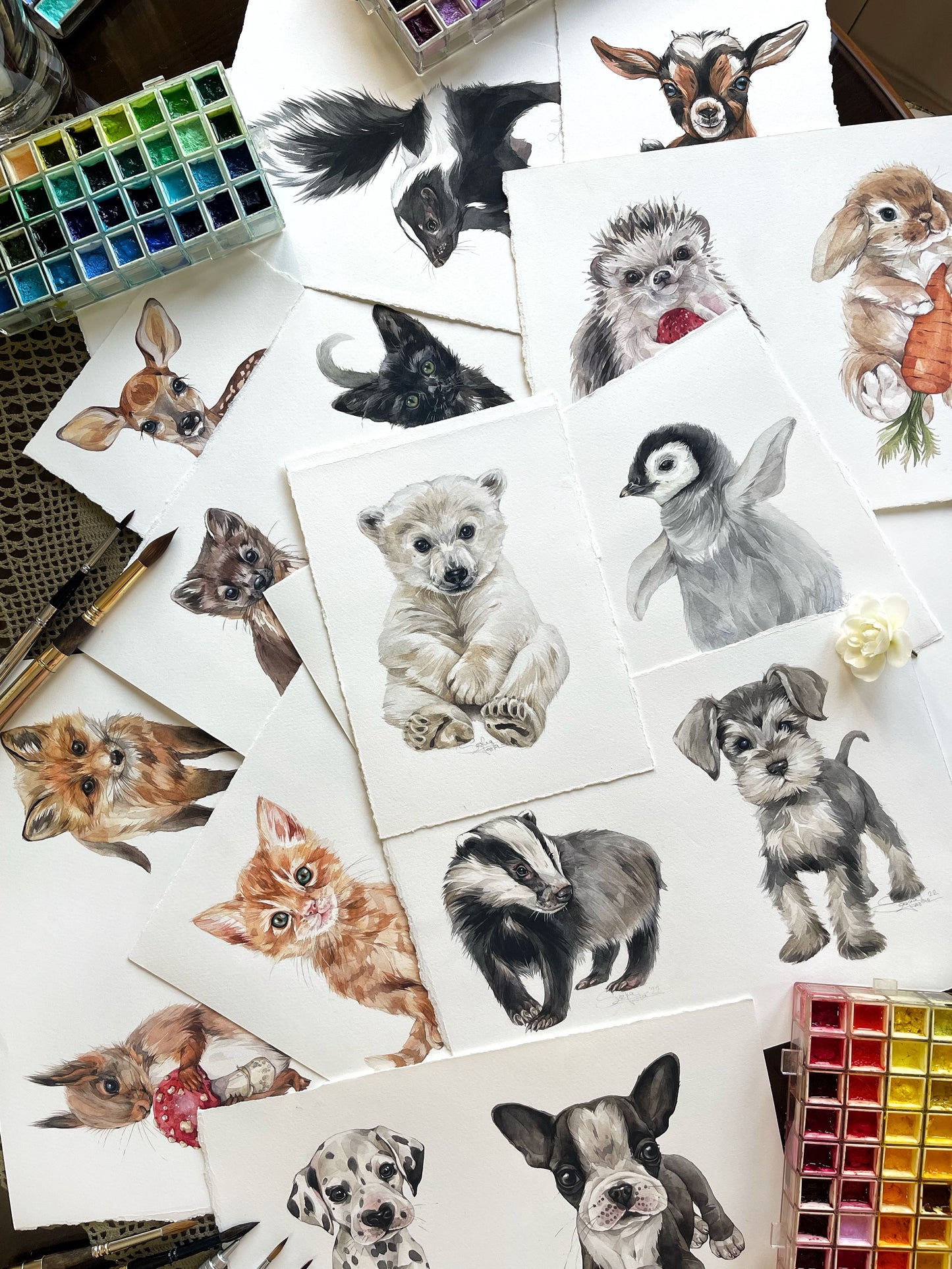 Baby Badger. Original watercolor painting.