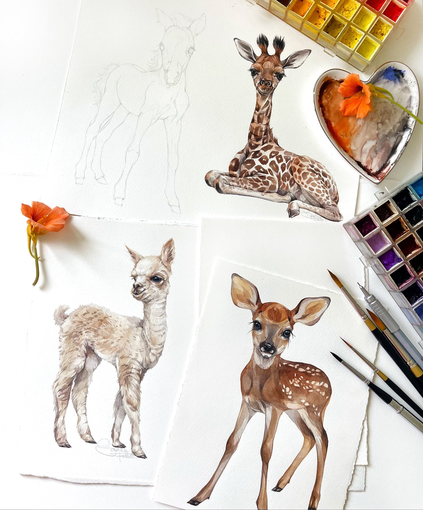 Baby Giraffe. Original watercolor painting.