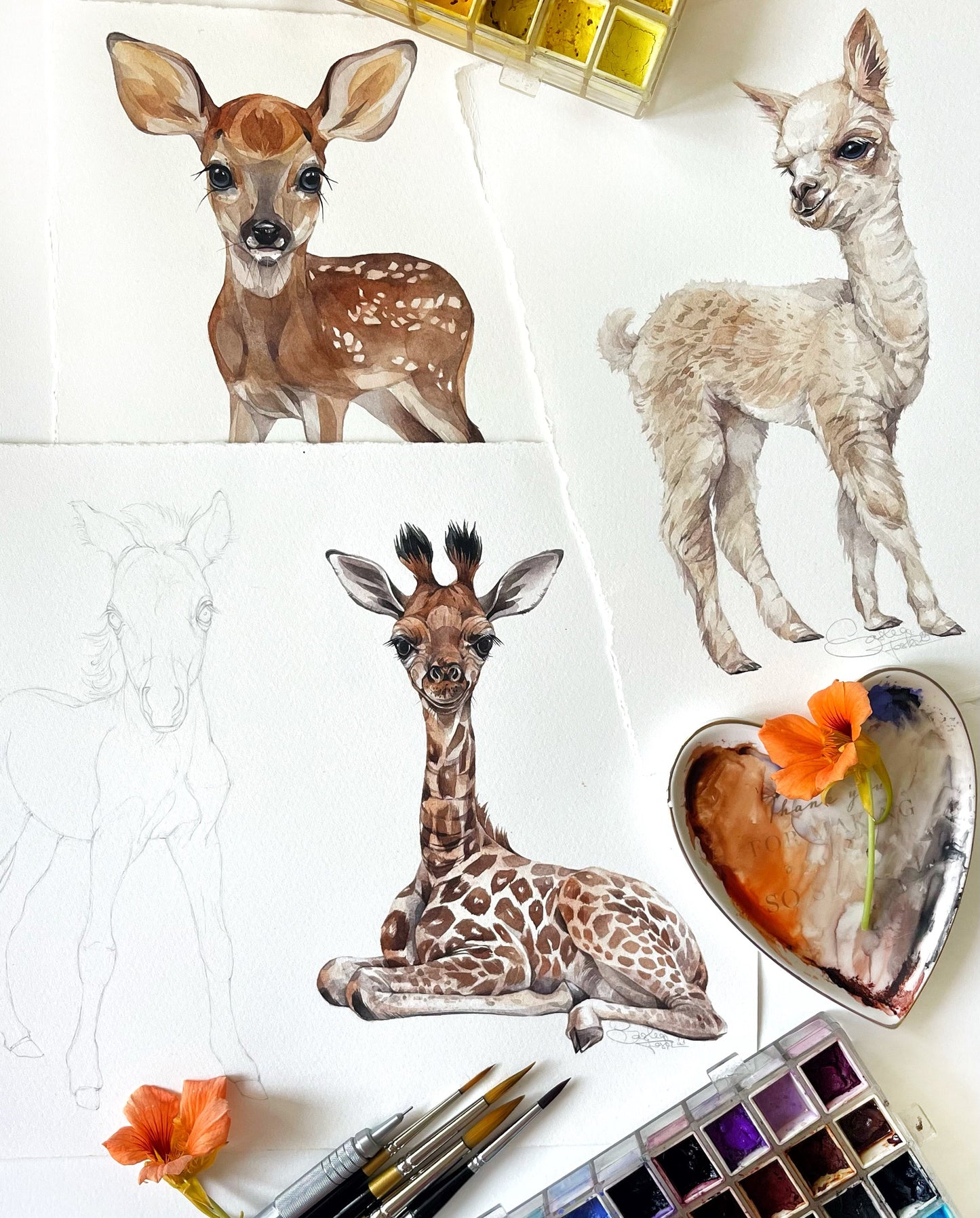 Baby Giraffe. Original watercolor painting.