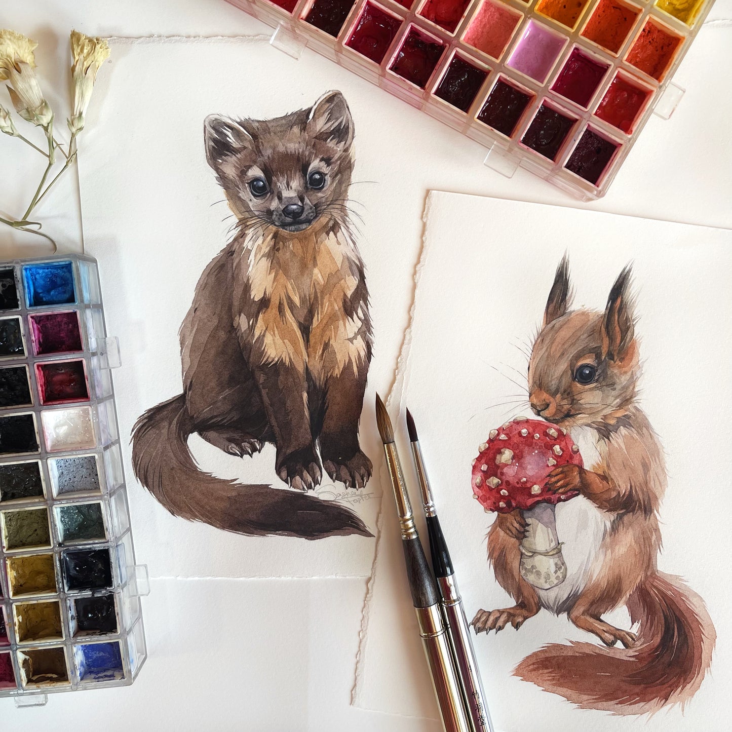 Baby Squirrel. Original watercolor painting.