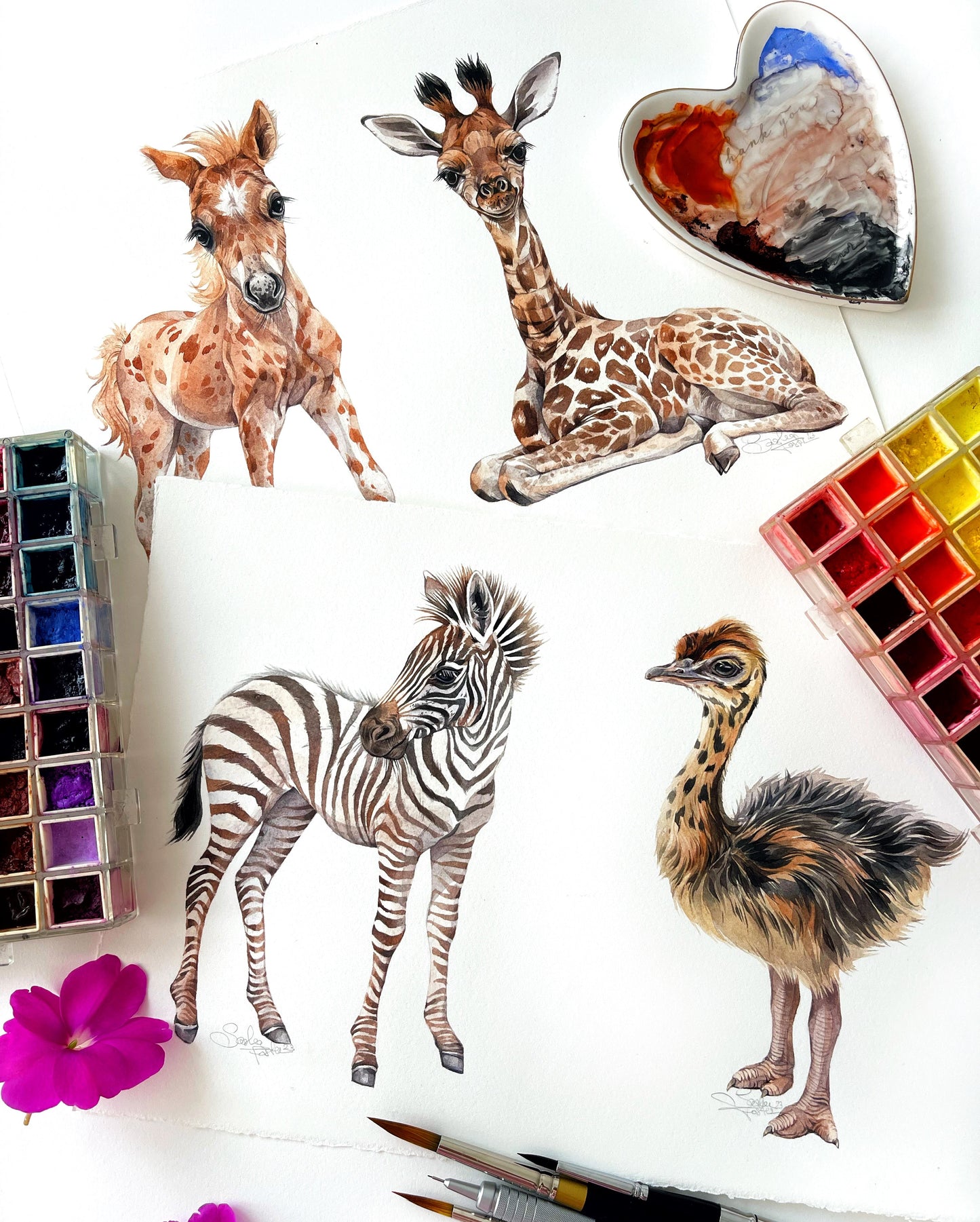 Baby Giraffe. Original watercolor painting.