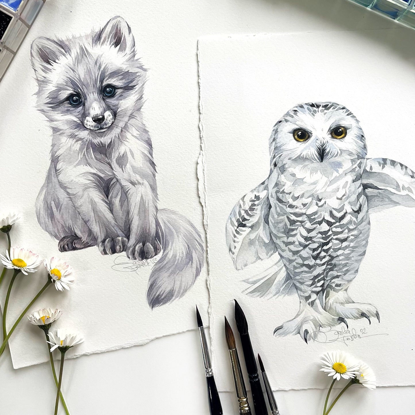 Baby Snowy Owl. Original watercolor painting.