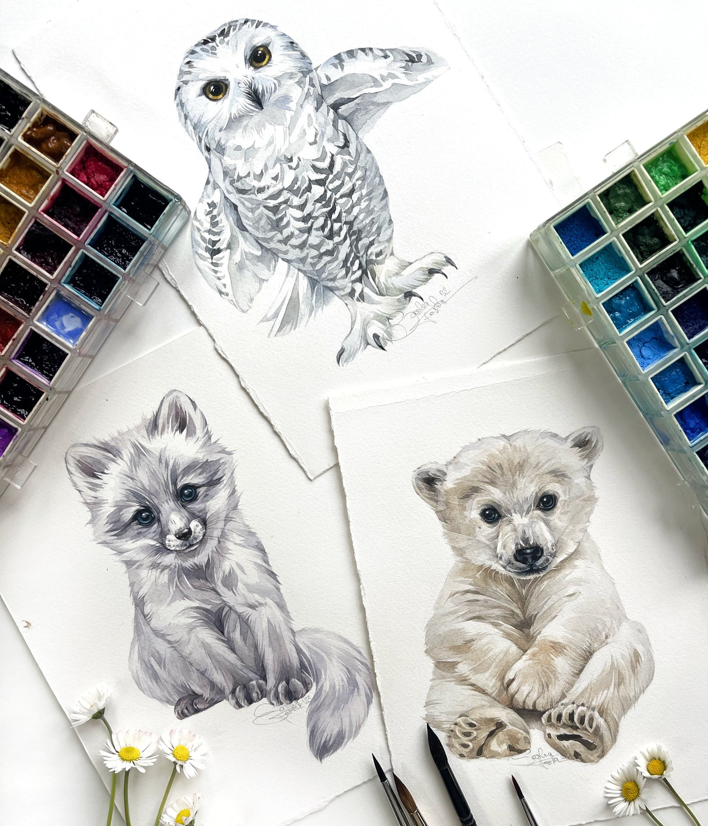 Baby Snowy Owl. Original watercolor painting.