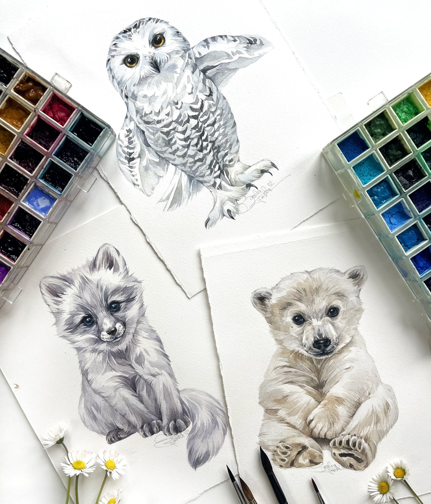 Baby Polar Bear. Original watercolor painting.