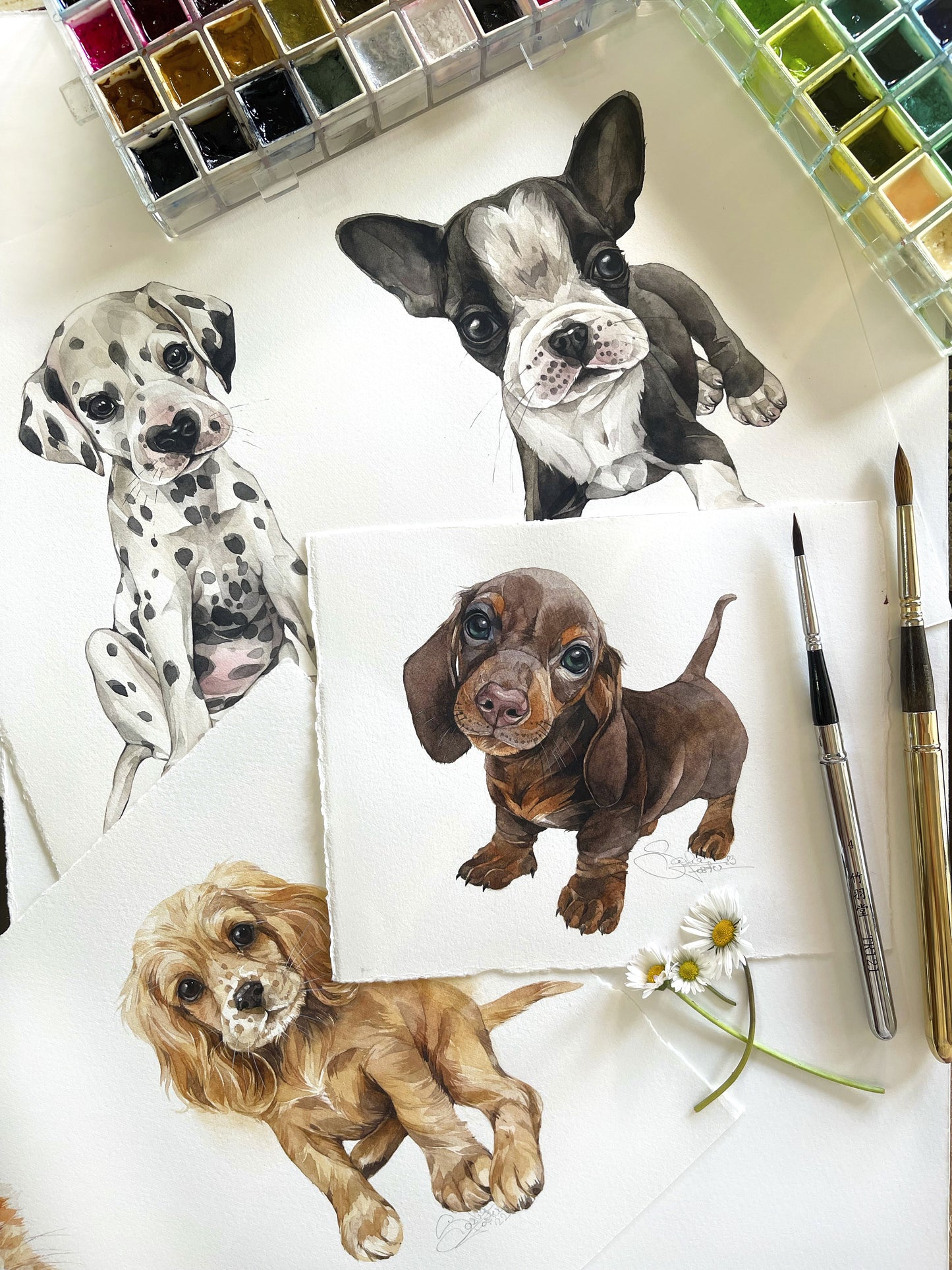 Baby Dalmatian. Original watercolor painting.