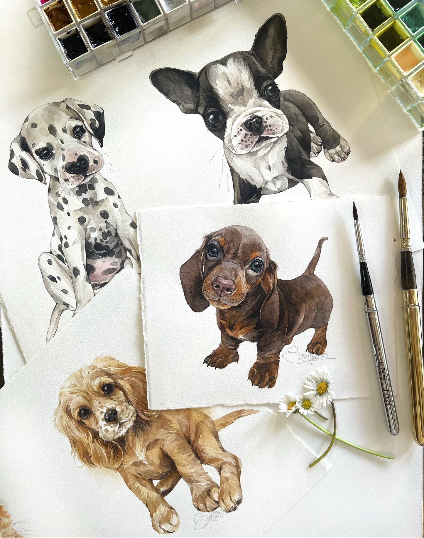 Baby Cocker Spaniel. Original watercolor painting.