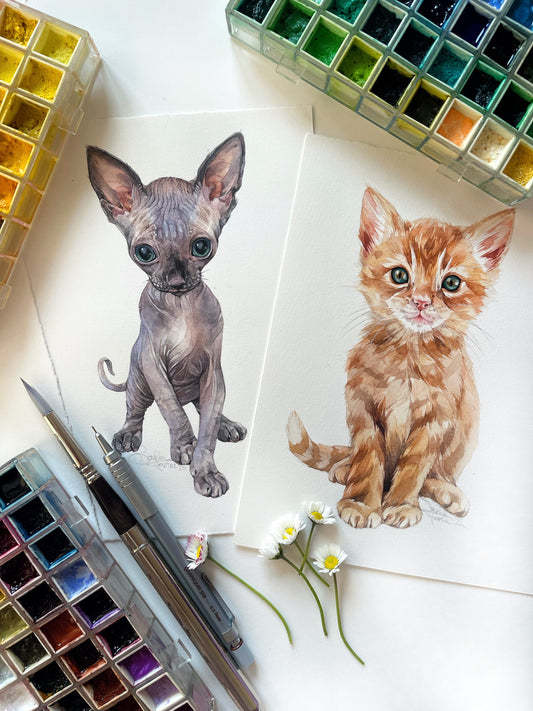 Sphynx Kitten. Original watercolor painting.