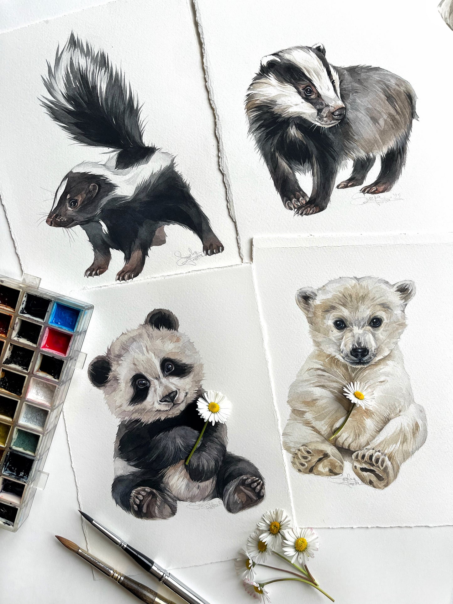 Baby Skunk. Original watercolor painting.