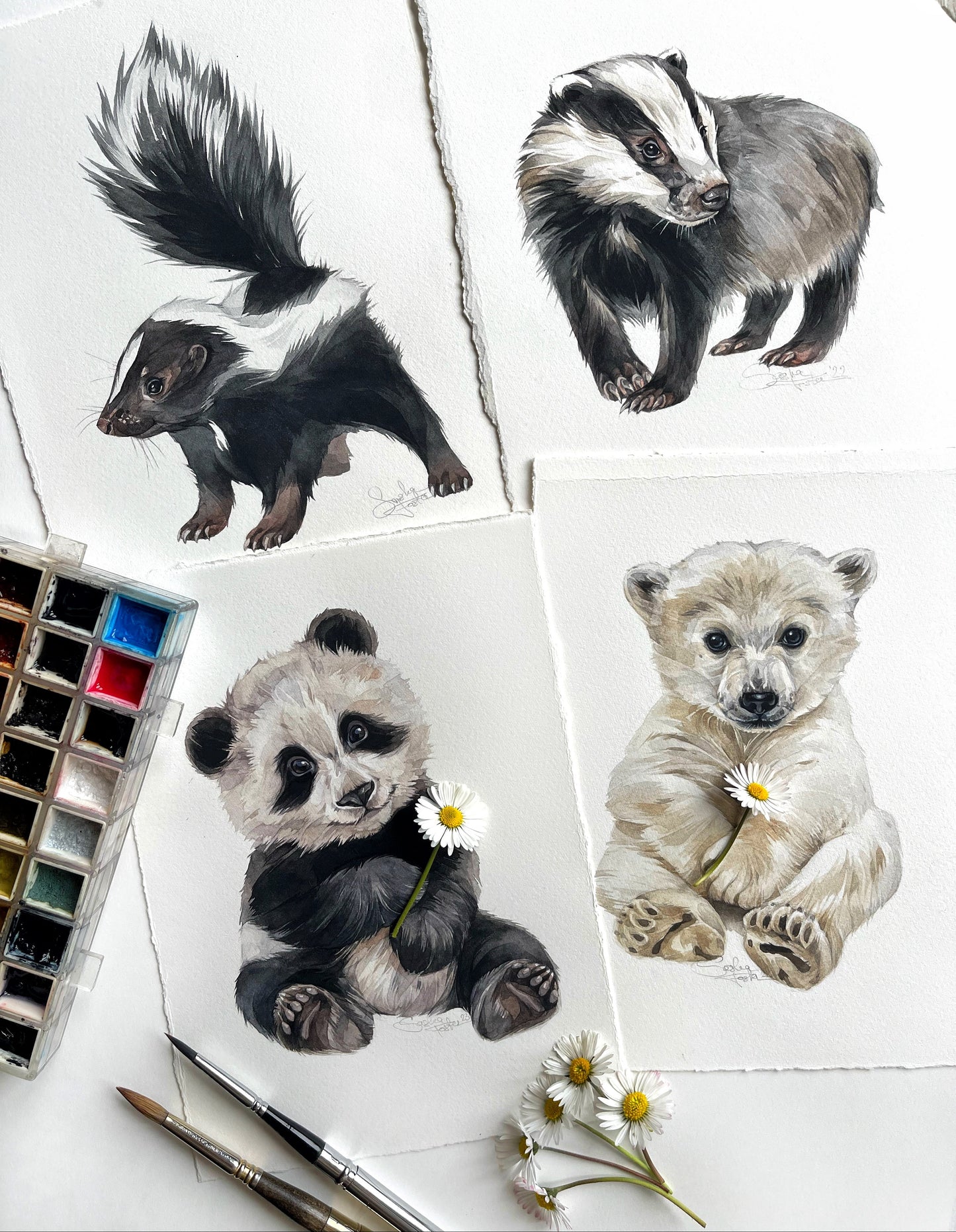 Baby Badger. Original watercolor painting.