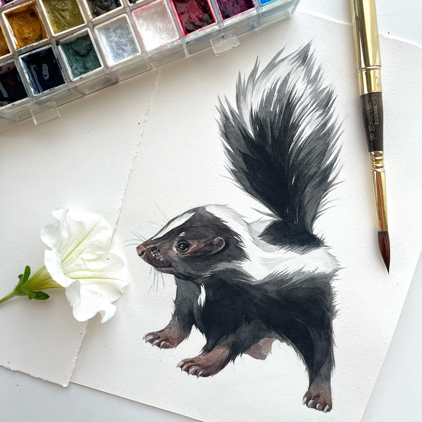 Baby Skunk. Original watercolor painting.